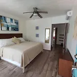 Zensus Laguna
